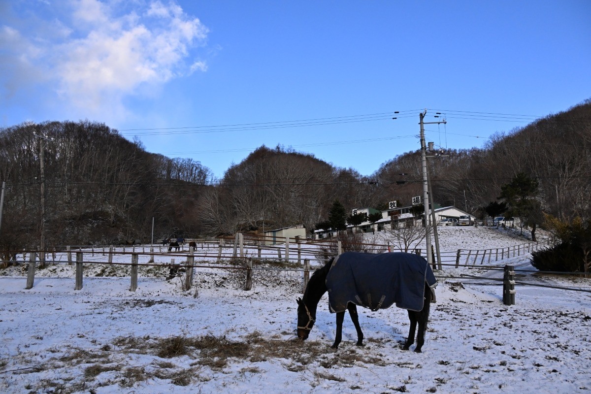 8956c68fbce47dc94ed115b48914a6f9-1765895546.jpg 8956c68fbce47dc94ed115b48914a6f9-1765895546.jpg